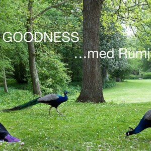 Workshop: All Goodness Søndagssamling