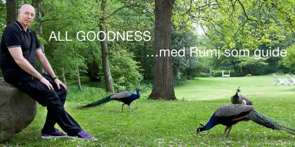 Workshop: All Goodness Søndagssamling