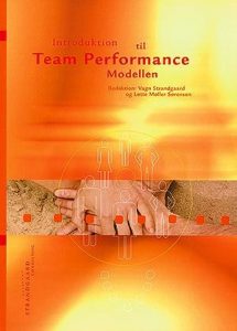 Team performance modellen